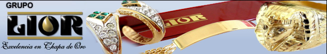 Grupo Lior – Excelencia en chapa de oro